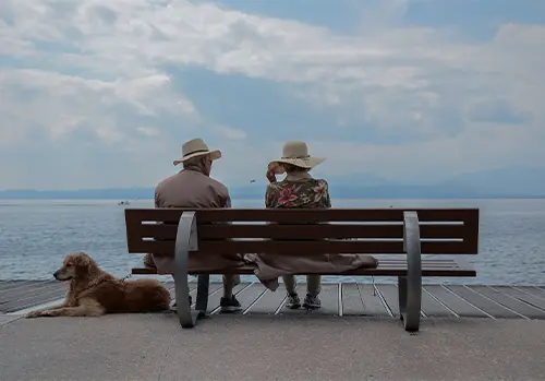 An older couple sits on a seaside bench with their small dog, enjoying a peaceful moment together under bright daylight.