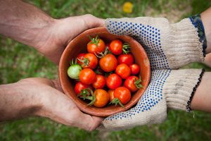 Coronavirus victory garden