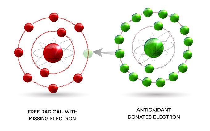 the-role-of-free-radicals-in-disease-empower-brokerage