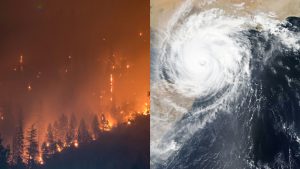 Special Enrollment Period from FEMA