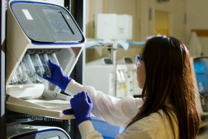 Drug-gene testing may be the answer to getting patients DNA-compatible medications. Photo by the National Cancer Institute on Unsplash.