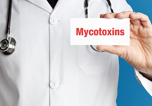 Mycotoxins can cause various health problems