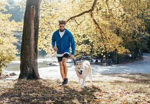 man-walking-dog