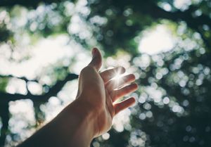 A hand feeling the warm sunlight