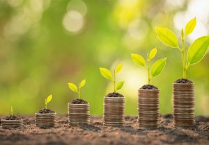 Coin stack with young green sprout growing on top to symbolize financial life stages concept