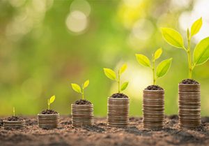 Coin stack with young green sprout growing on top to symbolize financial life stages concept.