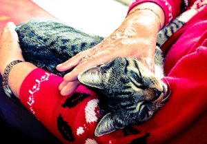 Older woman holding her pet cat.