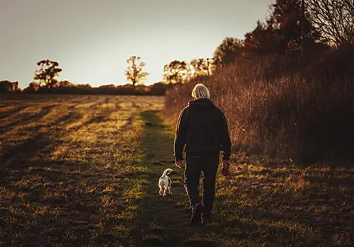 A man goes walking with his pet dog.