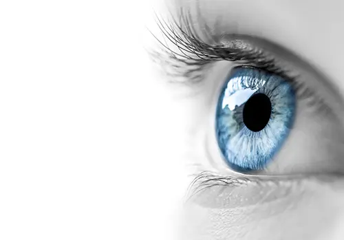 Close-up of a blue human eyeball.