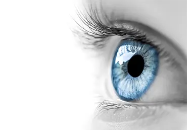 Close-up of a blue human eyeball.